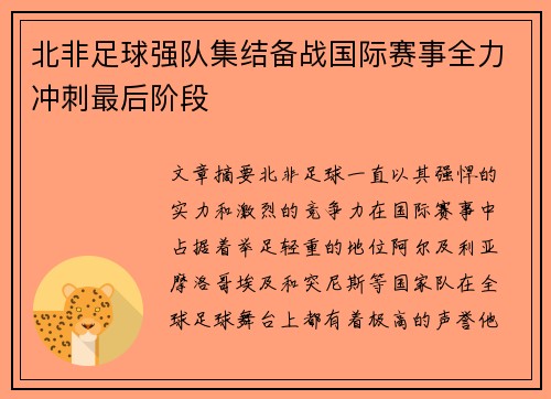 北非足球强队集结备战国际赛事全力冲刺最后阶段